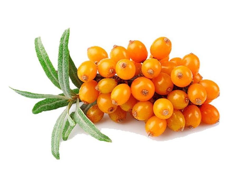 Sea buckthorn, which normalizes prostate function during prostatitis